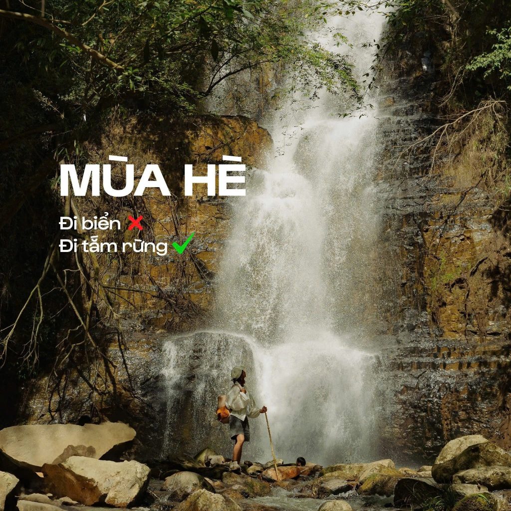 Tour du lịch sinh thái - trải nghiệm khám phá thiên nhiên Đà Lạt