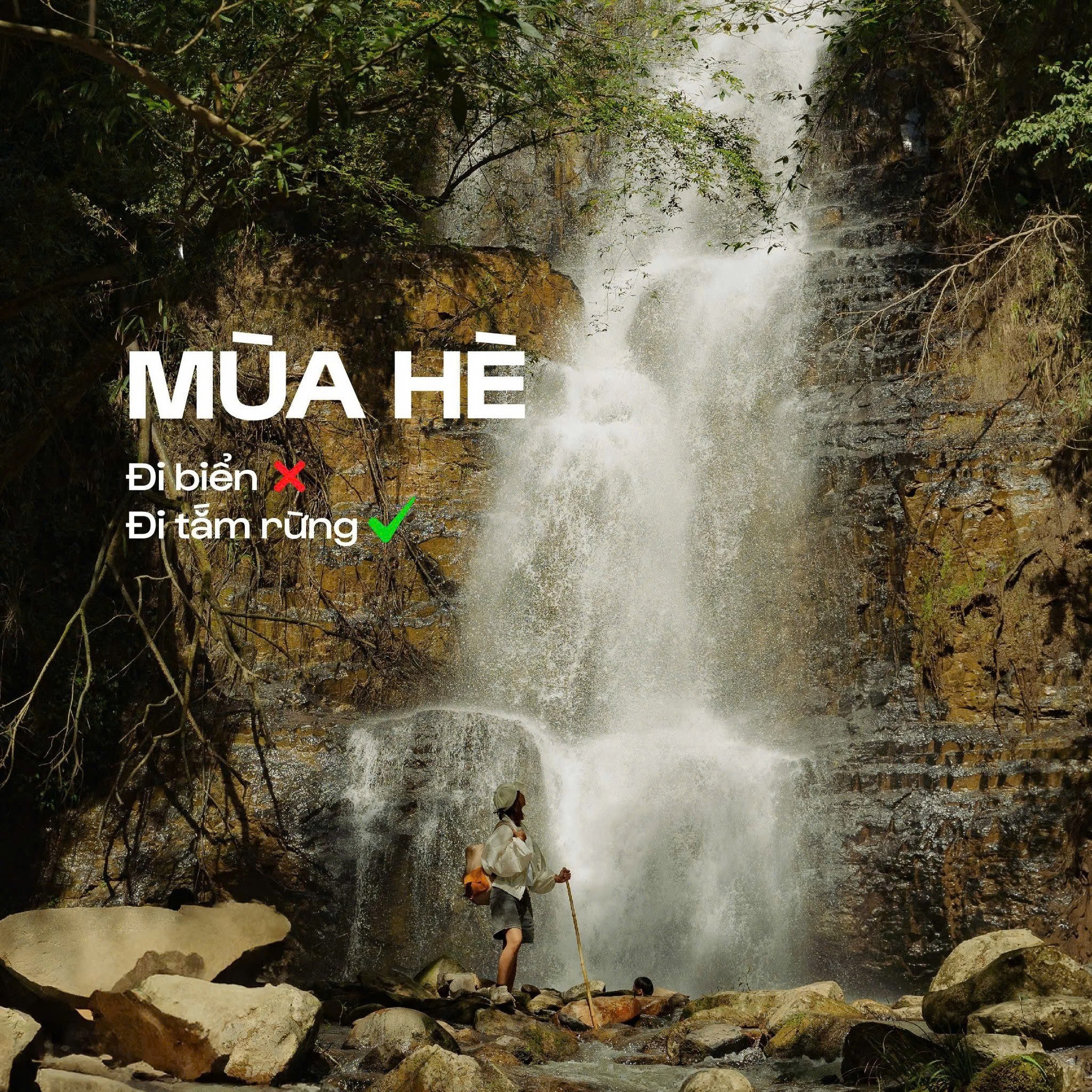 Tour du lịch sinh thái - trải nghiệm khám phá thiên nhiên Đà Lạt